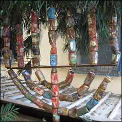 Tomersz Daniel43 - Ekoloko